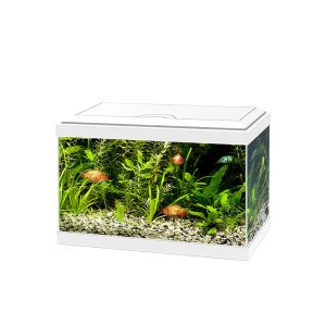 Glass aquarium