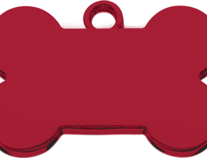 Basic Coverage 1 year Plan