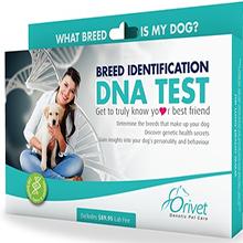 Dog DNA Kit Wholesale pricing(Minimum order 6)